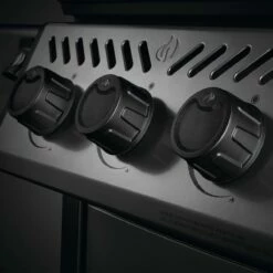 Napoleon Freestyle 365, 3 Hauptbrenner, Graphit -Napoleon Verkaufs-Shop napoleon freestyle 365 3 hauptbrenner graphit 2f1eb5625778b5d7f71403fa55cda22e