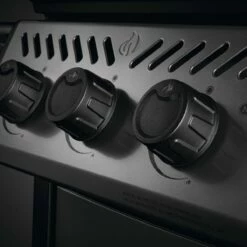 Napoleon Freestyle 425, 4 Hauptbrenner, Graphit 16 Napoleon Freestyle 425, 4 Hauptbrenner, Graphit -Napoleon Verkaufs-Shop napoleon gasgrill freestyle 425 4 hauptbrenner graphit drehregler 08d058fc0cee4c445c586bf69bb0d55b