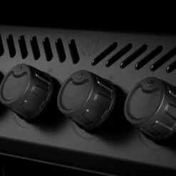 Napoleon Phantom Freestyle 425, Mattschwarz – Modell 2023 -Napoleon Verkaufs-Shop napoleon phantom freestyle 425 mit edelstahl rosten und tuer mattschwarz f38064585154547b12e3052f4c30a7de