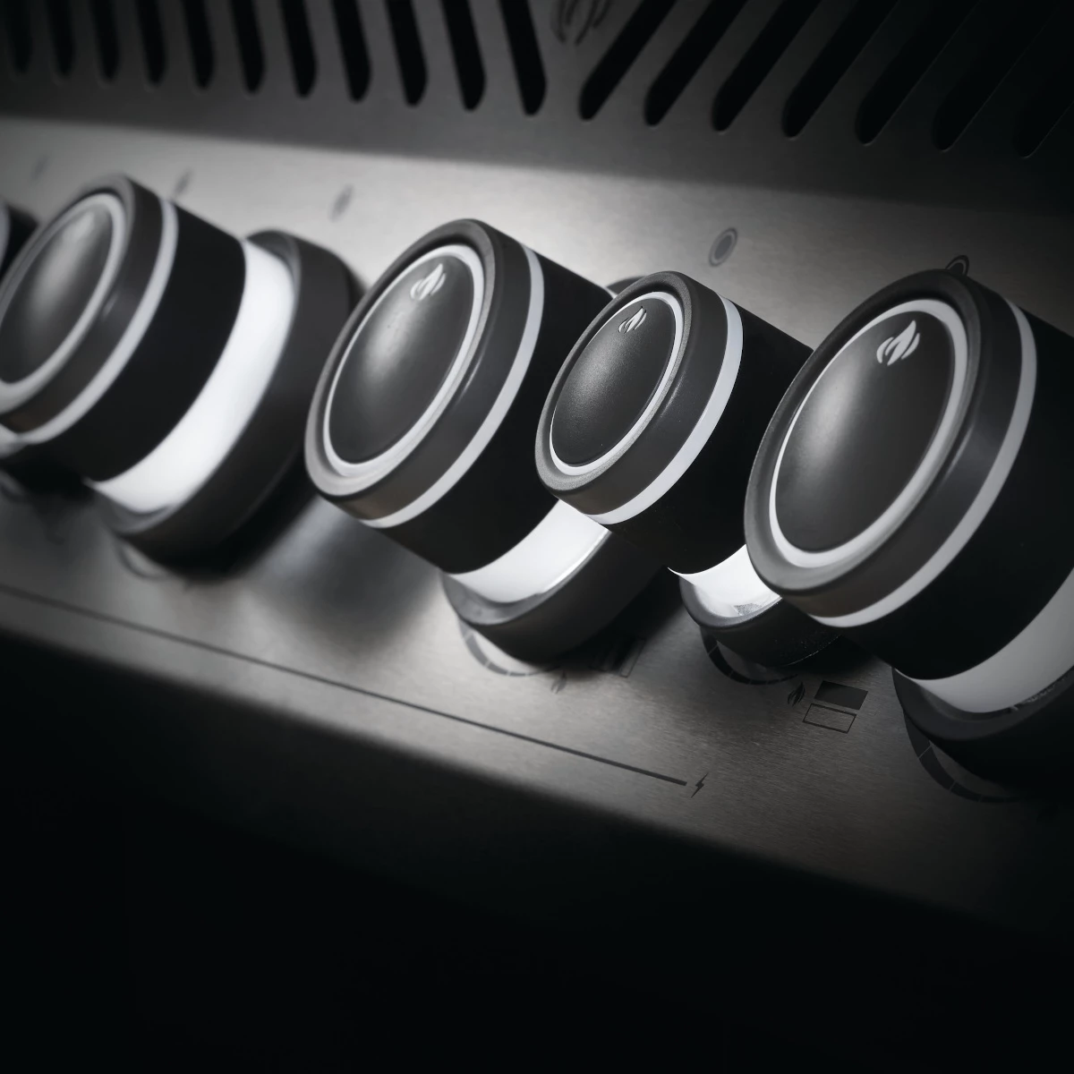 Napoleon Rogue SE 425, Edelstahl 5 Napoleon Rogue SE 425, Edelstahl – Bild 3