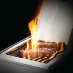 Napoleon Rogue XT 425, Edelstahl -Napoleon Verkaufs-Shop napoleon rogue xt 425 edelstahl 357816efd73bc9461c871d909ef1c9db