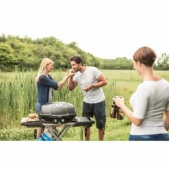 Napoleon Verkaufs-Shop -Napoleon Verkaufs-Shop napoleon travelq pro285 mit klappbaren wagen gasgrill f6eb20d2165de58dbff84e98f1b459ec